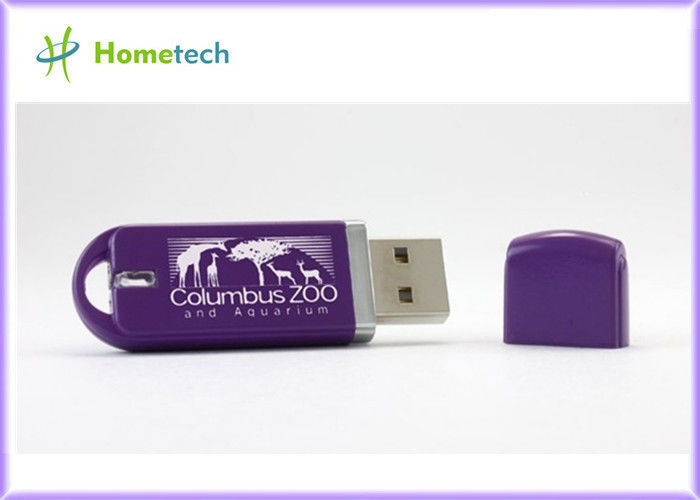 OEM の専門の棒 2-4GB USB の記憶棒は注文のロゴと、プラスチック USB のフラッシュ運転します